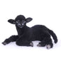 Lamb Black Laying 13 in. (7192)