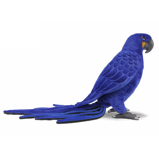 Hyacinth Macaw 26 in. (7370)