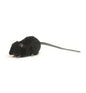 Mouse, Black (5578)