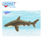 Great White Shark 24 in. (5069)