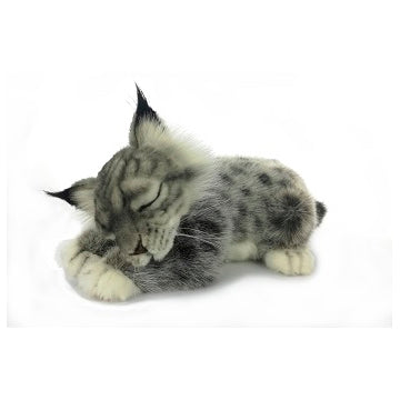Lynx Baby Laying 11 in. (7813)