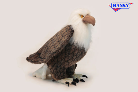 American Eagle (2791)