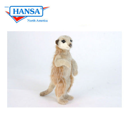 Meerkat 13 in. (5326)