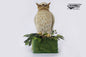 Hansatronics Mechanical Fish Owl With Base (0590)