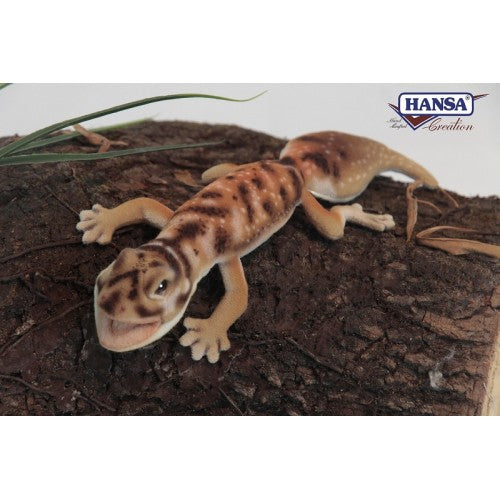 Gecko Pibora  Knobtail 10 in. (6928)
