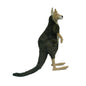 Kangaroo, Male 36 in. (3682)