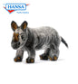 Black Rhino (5500)