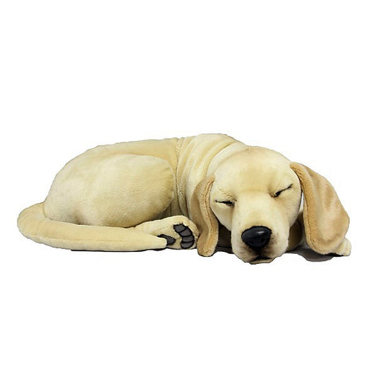 Yellow Labrador Sleeping (8012)