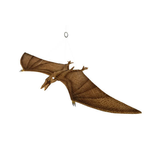 Pterodactyl 31 in. (7825)