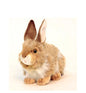 Rabbit (Brown Mix) (2786)