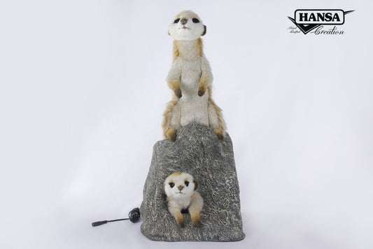 Meerkat Playing on Rock - 2pcs (4576,7874) (0781)