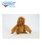 Orangutan 10 in. Ark size (3273)