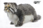 Pallas Cat Standing 17 in. (7077)