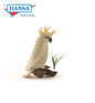 White Cockatoo 8.5''           (3916)
