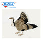 Houbara Bustard Bird16.5'' (5419)