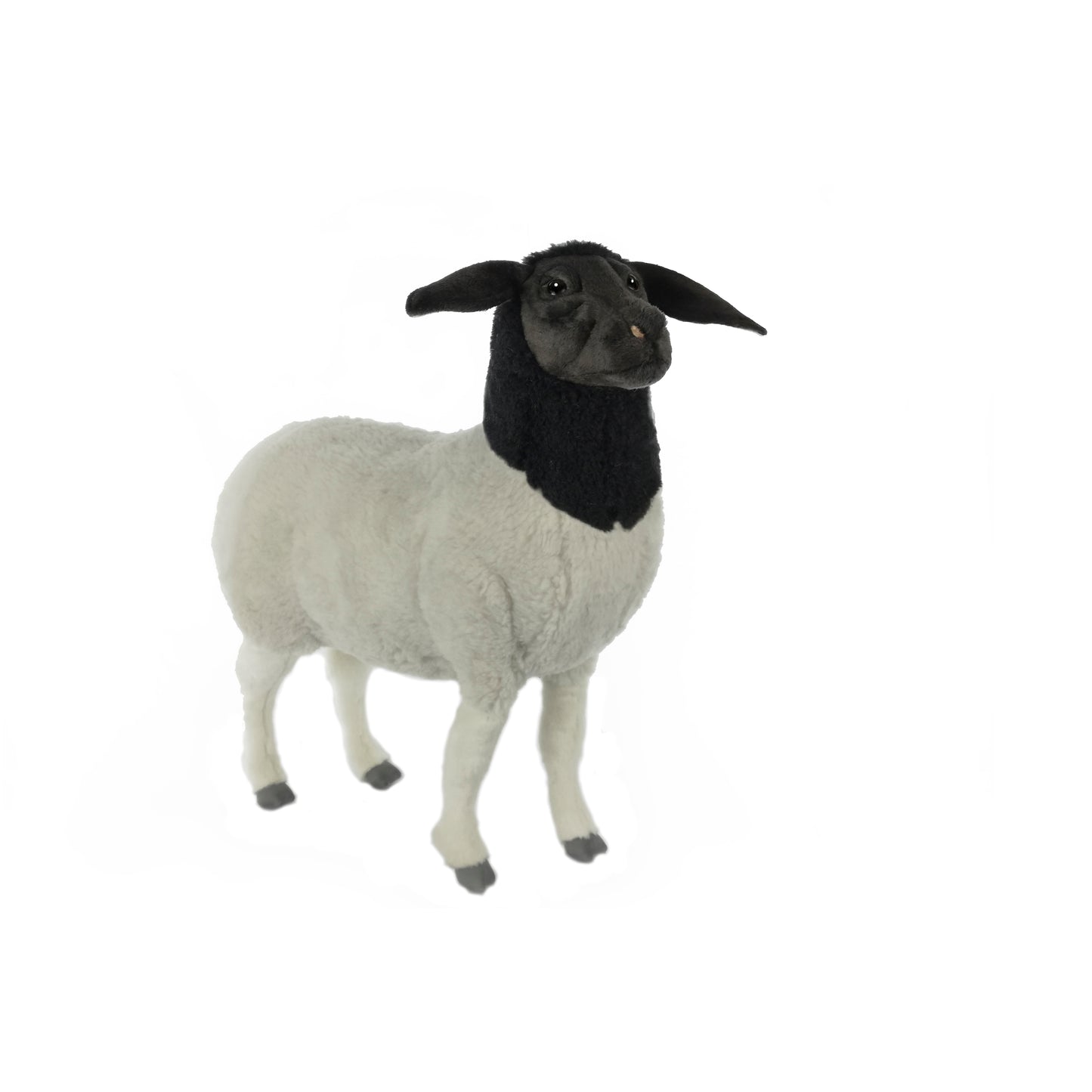 Sheep Suffolk Mama 29 in. (7808)