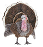 Turkey, Medium 20 in. (4725)