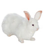 Snow Rabbit (4672)