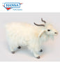 Turkish Long Haired White Goat (6486)