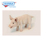 Piglet Standing (6290)