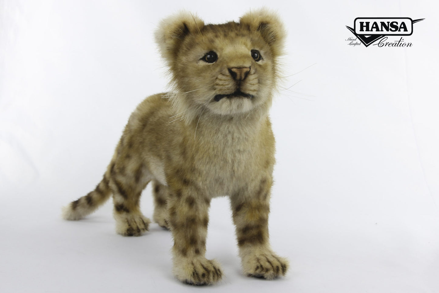 Lion Cub Standing 16 in. (7893)