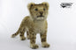 Lion Cub Standing 16 in. (7893)