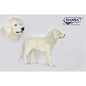 Pyranean Mountain Dog (6843)
