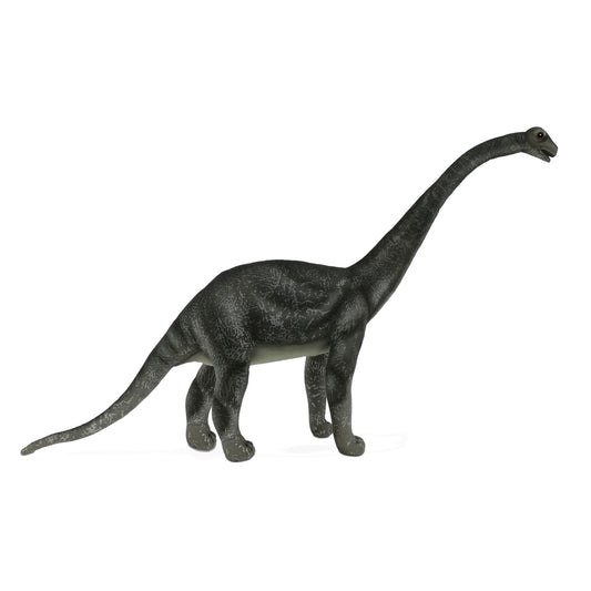 Diamantinasaurus Matildae 24 in. (7785)