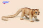 Kinkajou (6227)