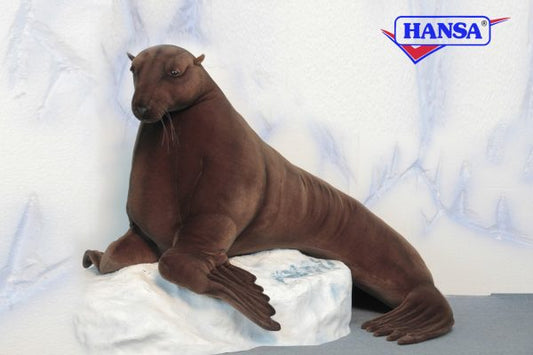 Sea Lion Laying 63 in. (4448)