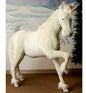 Unicorn Studio Size (4932)