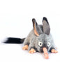 Bilby (5536)