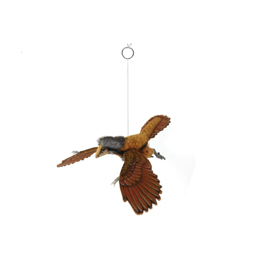 Archaeopteryx 14 in. (7681)