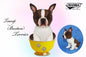 Boston Terrier Tea Cup 6 in. (8421)