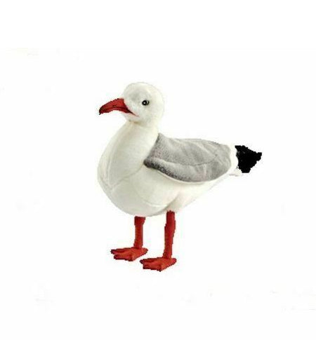 Seagull (7269)