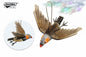 Zebra Finch Flying 8.3"W (8113)