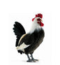 Rooster Large 18 in. (4170)