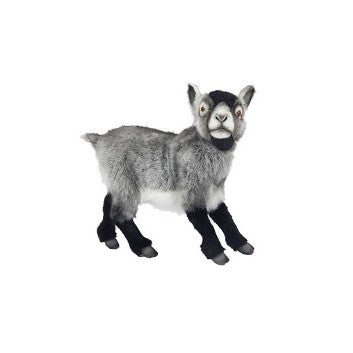 Goat Dwarf Grey 14 in. (7011)