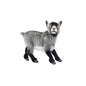 Goat Dwarf Grey 14 in. (7011)