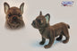 French Bulldog 10 in. (6594)