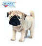 Pug Dog 15 in. (5951)