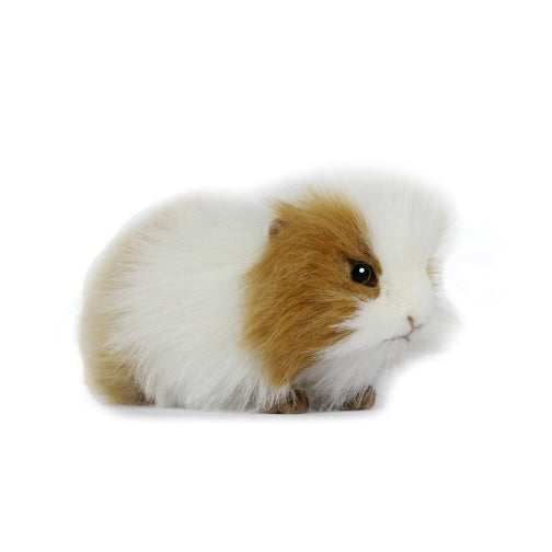 Guinea Pig Brown & White 8 in.  (7319)