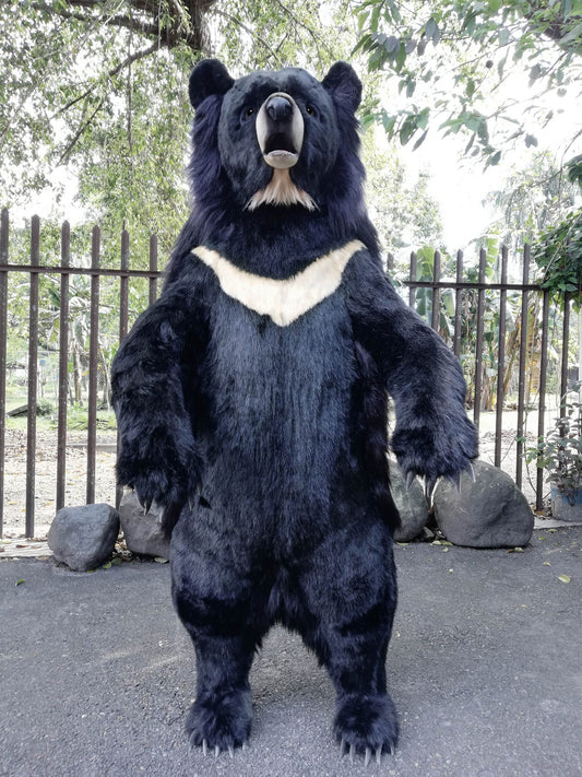 Ursus Thibetanus Formosanus Bear Talk/Sing (0818)