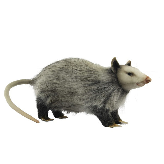 Opossum 12 in. (8041)