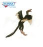 Archaeopteryx 11 in. (5566)
