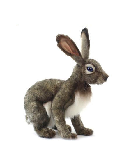 Jack Rabbit Grey (5283)