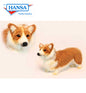 Welsh Corgi  14 in. (6684)