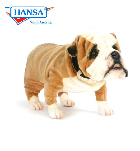 British Bulldog 29 in. (5626)