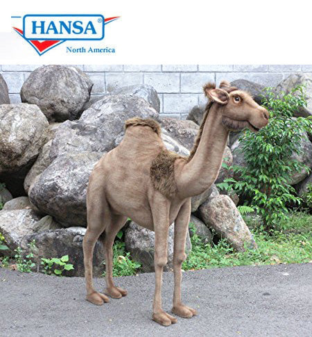 Andromeda Camel Ride-On 5 ft 6 in (4678)