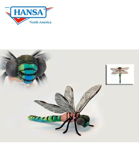 Dragonfly 13 in. (6566)